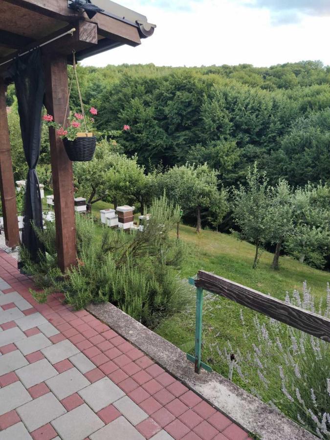 Guest House Bee 비소코 외부 사진
