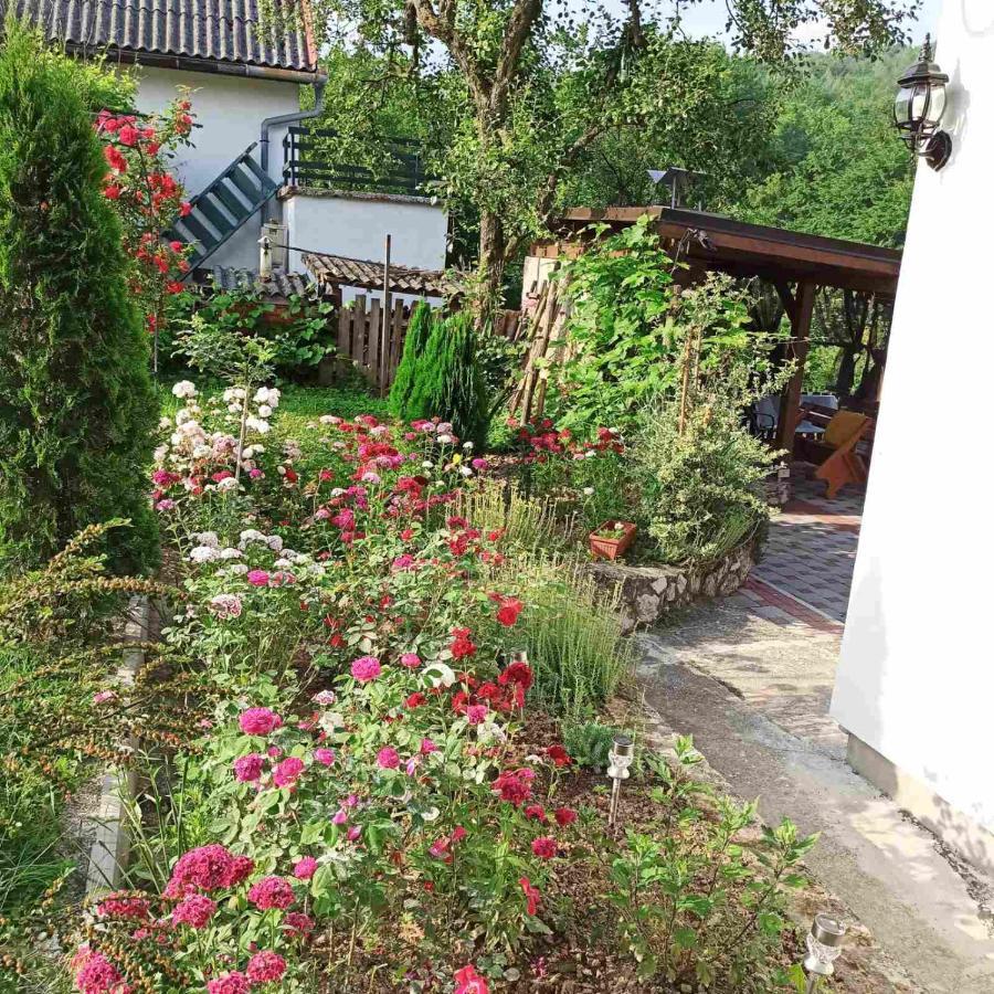 Guest House Bee 비소코 외부 사진
