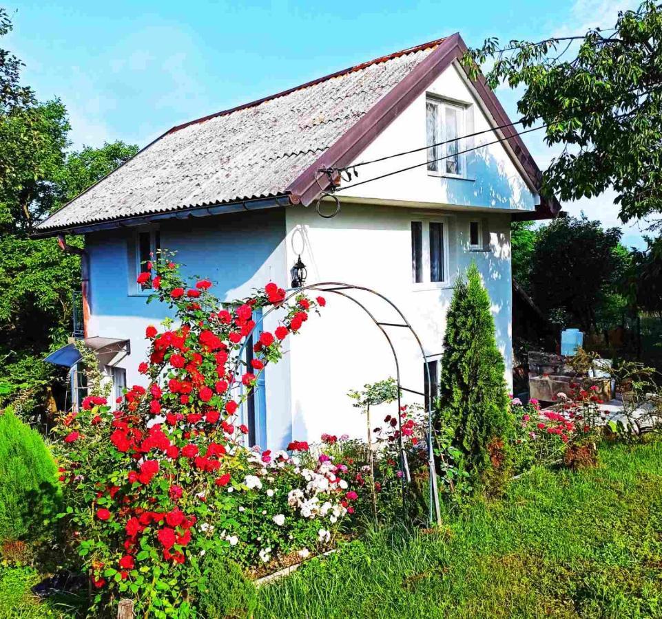 Guest House Bee 비소코 외부 사진