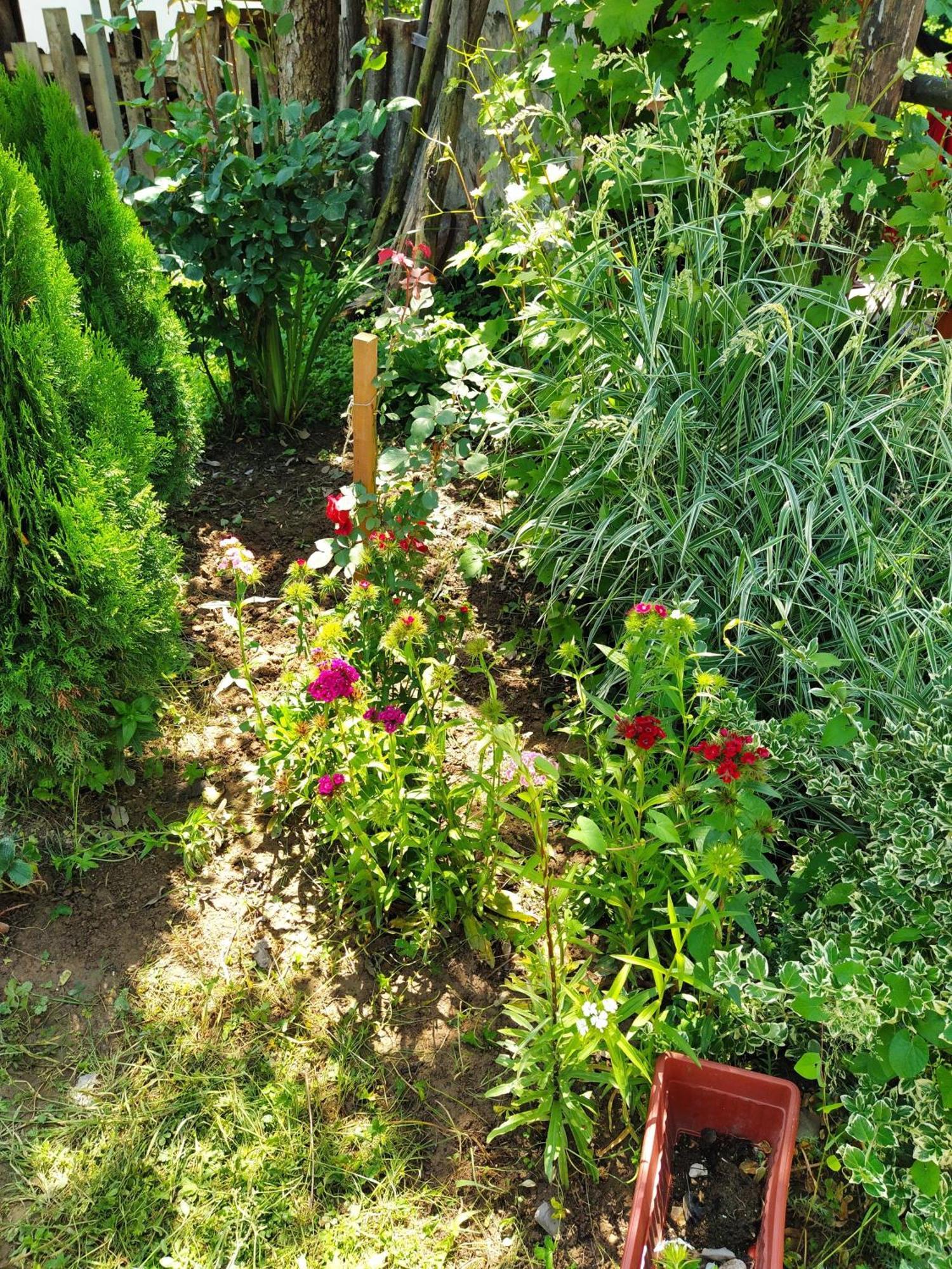 Guest House Bee 비소코 외부 사진