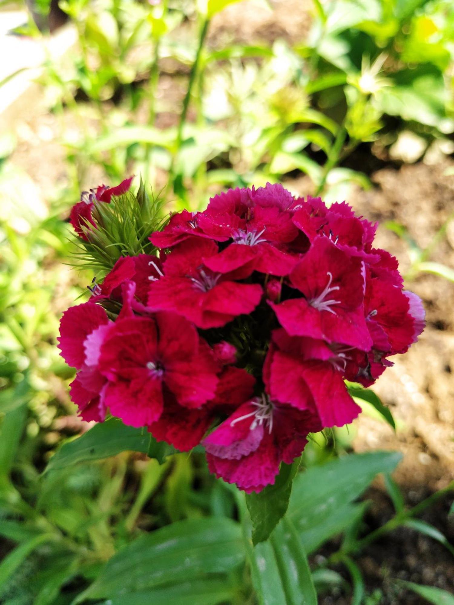 Guest House Bee 비소코 외부 사진