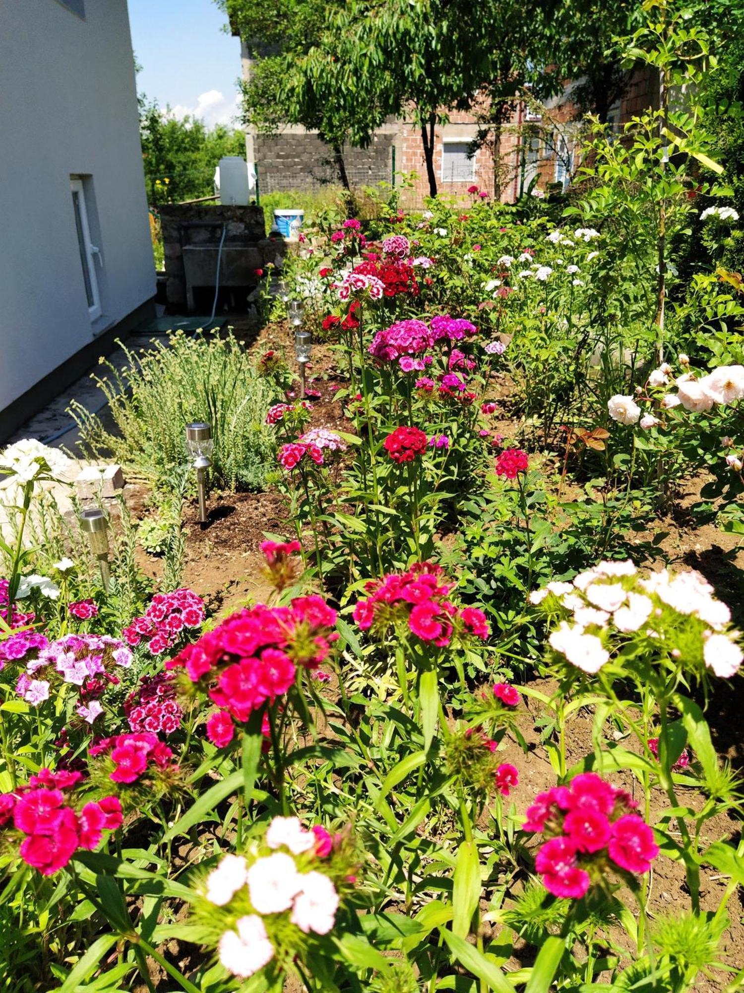 Guest House Bee 비소코 외부 사진