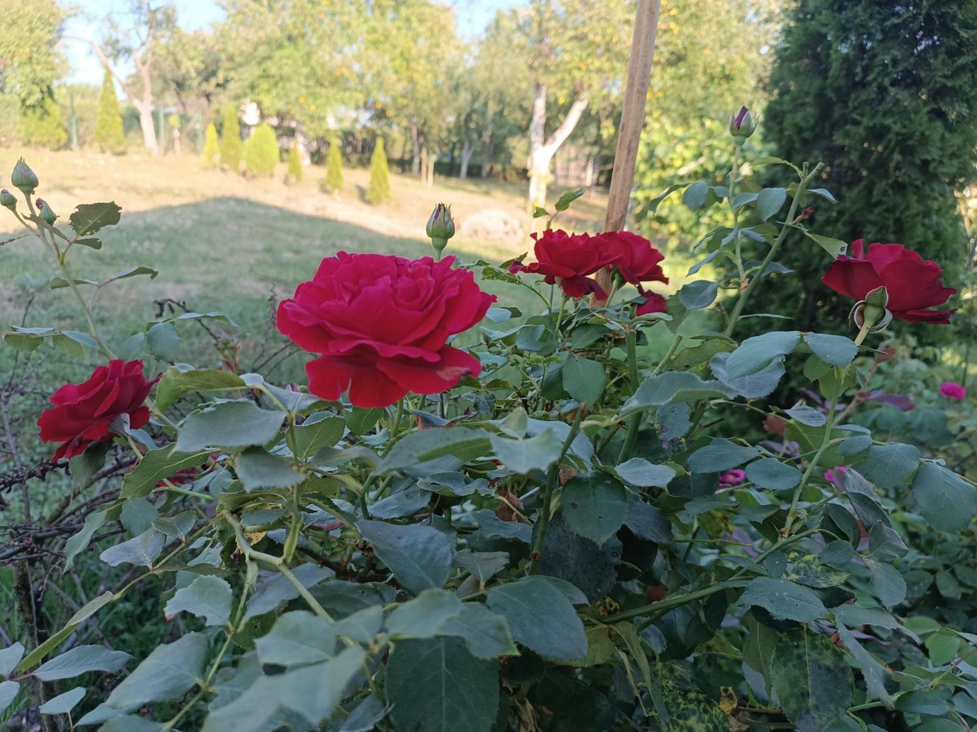 Guest House Bee 비소코 외부 사진